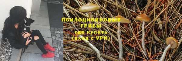 spice Пролетарск